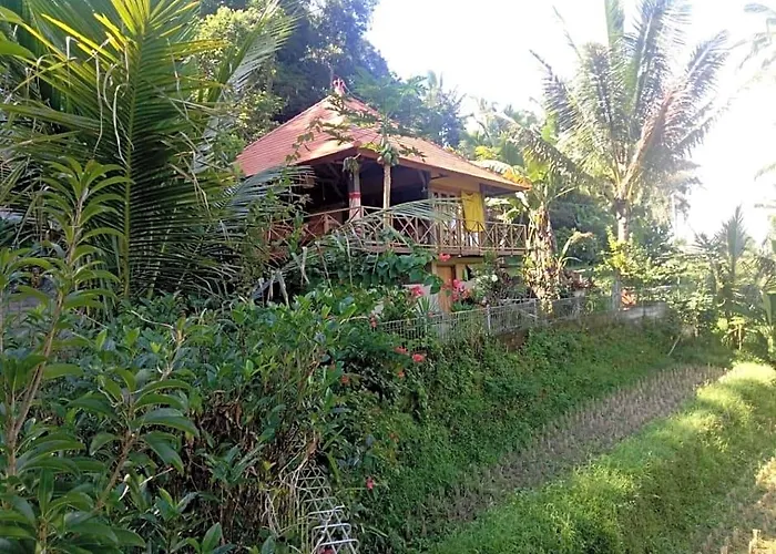 Orman Evi Babahan *