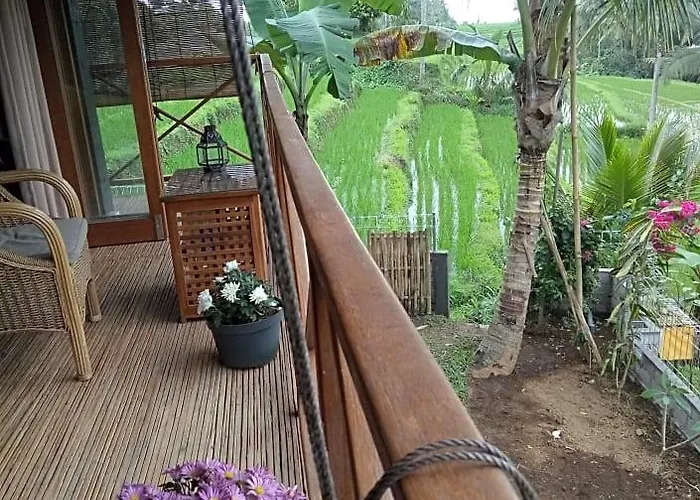 Babahan Orman Evi Selemadeg