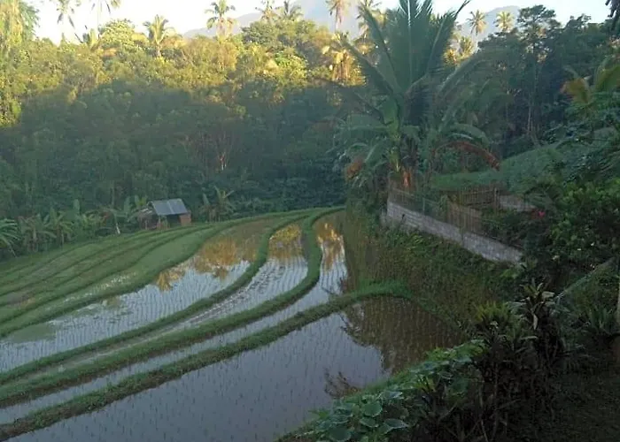 Babahan Orman Evi Selemadeg