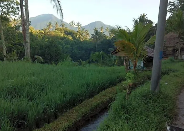 Orman Evi Babahan *